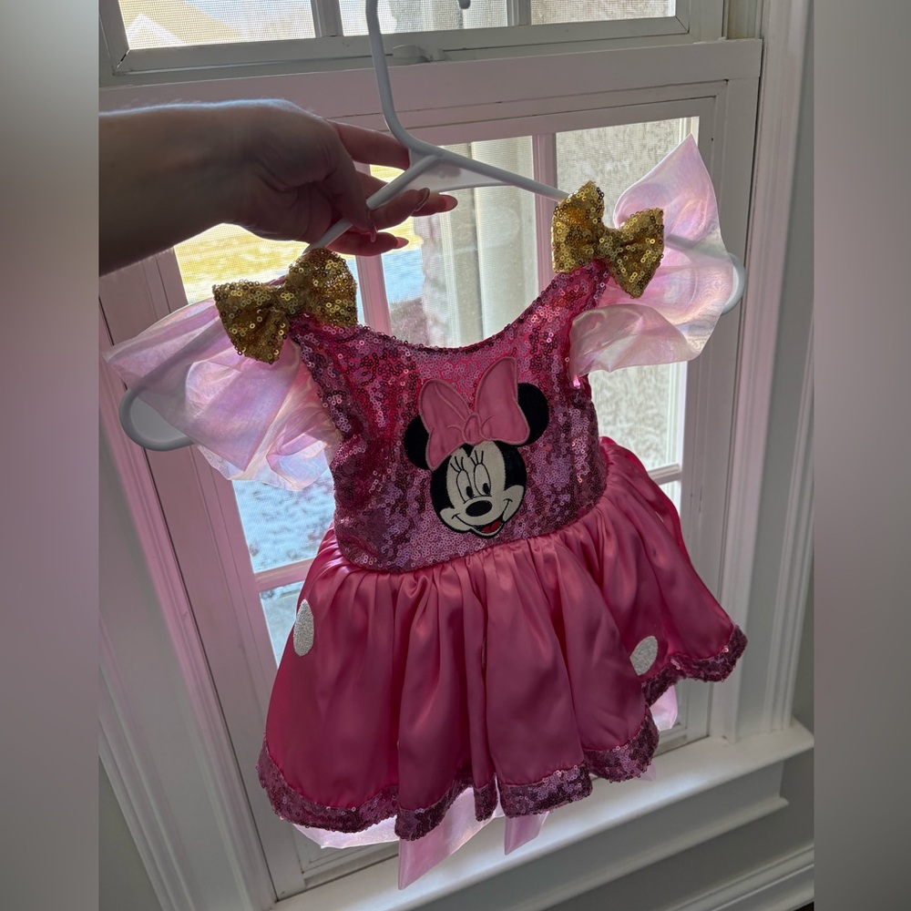 Pink Minnie Mouse Costume 2T